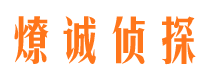 禄丰市调查公司